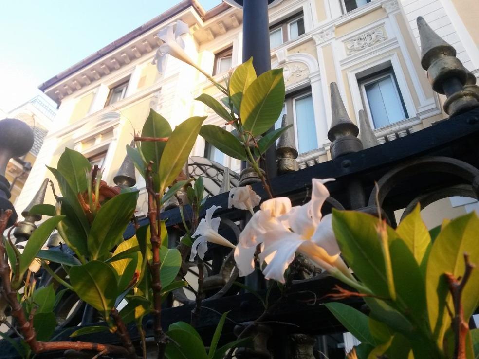 Ena Hotel أرنزانو المظهر الخارجي الصورة